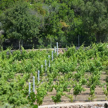 Mediterraneo بايا سردينيا